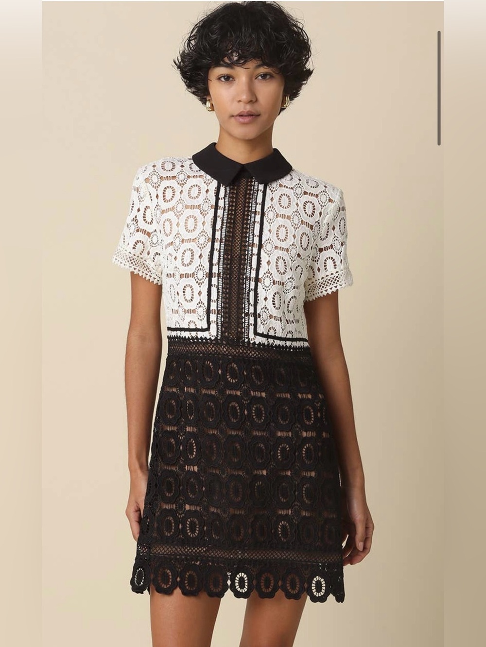 Self Portrait Look-Alike Black & White Lace Collared Shift Dress